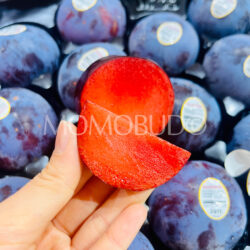 Family Tree Farms® Plumogranate Plumcot slice