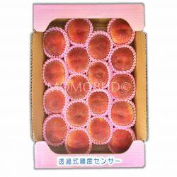 Hikawa Hakuhou (Daitouryou grade) Box