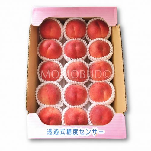 Natsukko Momo Box (Daitouryou grade)