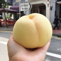 Japanese Shirobijin White Peach