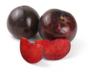 Plumogranate Plumcots