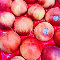 USA July Snow White Peaches