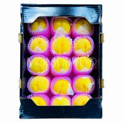 Japanese Premium Ichinomiya Ougontou Golden Peach Box