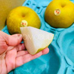 Japanese Saga Kousui Pear slice