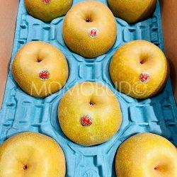 Japanese Saga Kousui Pears