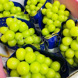 Japanese Yamanashi Shine Muscat Grapes Blue Packs