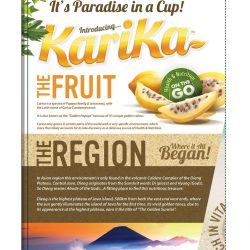 KARIKA Catalog & Recipe-page-002