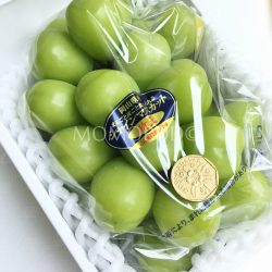 Photo 17-8-17, 1 05 57 PM