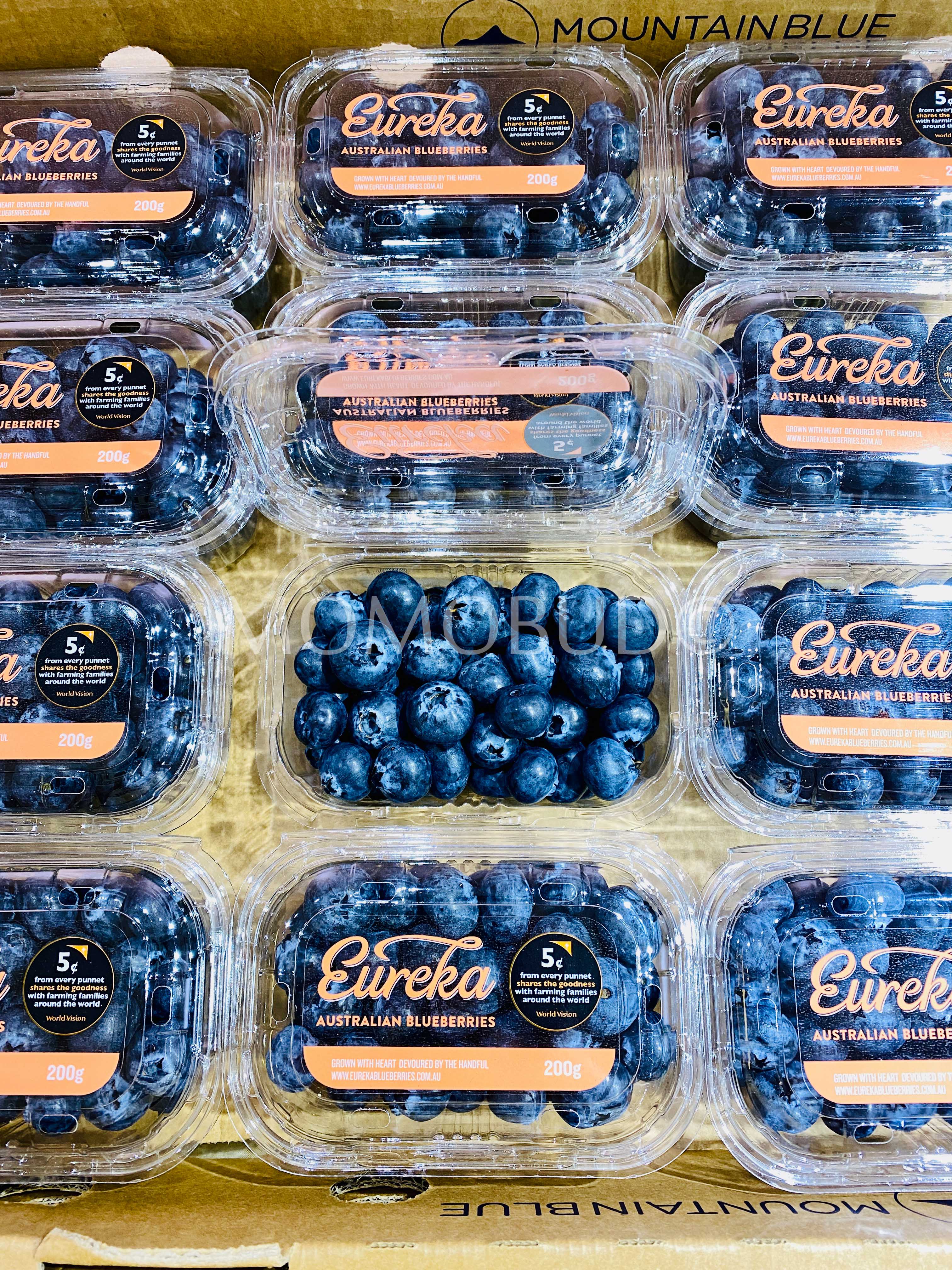 Fruits Lab SG - AUS Eureka jumbo blueberries. Sweet and