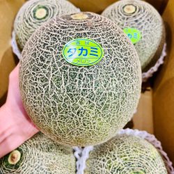 Japanese Aichi Takami Muskmelon