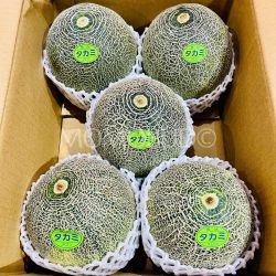 Japanese Aichi Takami Muskmelons