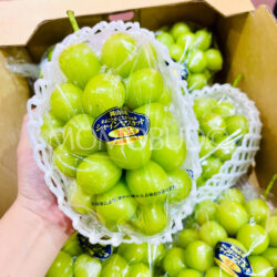 Premium Japanese Hareo Shine Muscat Grapes 船