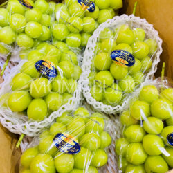 Premium Japanese Hareo Shine Muscat Grapes 船