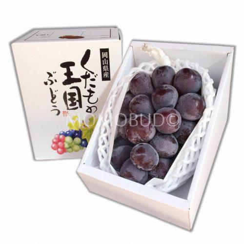 Okayama Pione 700g Gift Box