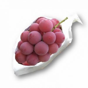 Queen Nina Grapes