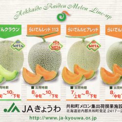 Japanese Hokkaido Raiden Melon Line-up