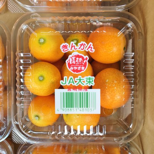 Japanese Miyazaki Kinkan (Kumquat)