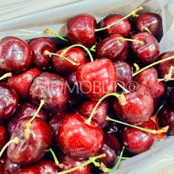 J&P Turner Staccato Red Cherries 32mm+ J&P Turner Staccato Red Cherries 32mm+