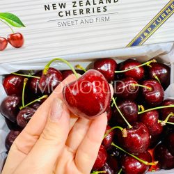 J&P Turner Staccato Red Cherry 32mm+ J&P Turner Staccato Red Cherry 32mm+