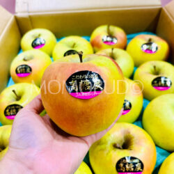 Japanese Aomori High Sweetness Meigetsu Apple on hand 1 Japanese Aomori High Sweetness Meigetsu Apple on hand 1