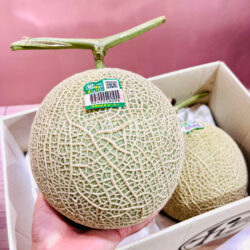 Japanese Ibaraki Arus Green Muskmelon Japanese Ibaraki Arus Green Muskmelon