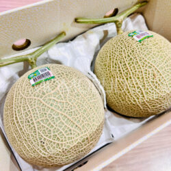 Japanese Ibaraki Arus Green Muskmelons Japanese Ibaraki Arus Green Muskmelons