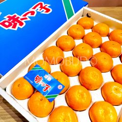 Japanese Saikai Ajikko Mikan (Mandarin Orange) Gift Box (2.5kg) 2