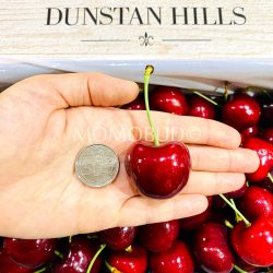 NZ Dunstan Hills Lapin Red Cherry 32mm+ size comparison