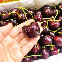 Tasmanian Lipzz Regina Red Cherry