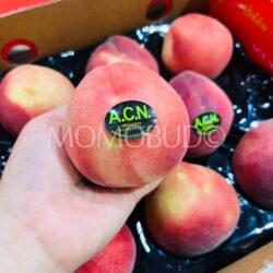Australian ACN White Peach