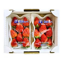 Japanese JA Fuji Izu Beni Hoppe Strawberry Tray 280gx2