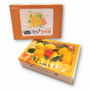 Jeju Hallabong Gift Box 3kg