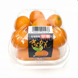 Saga Kinkan Clamshell