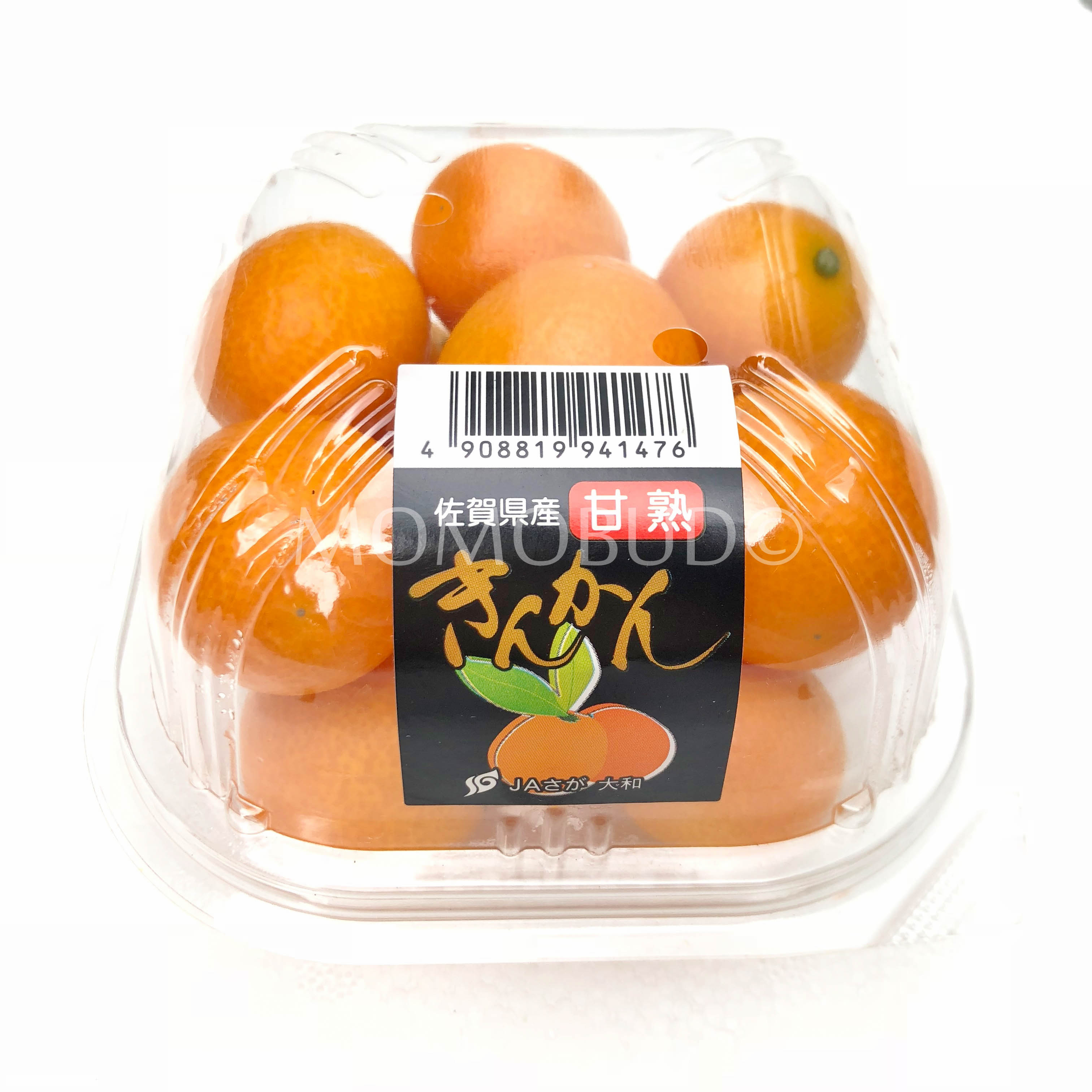 Japanese Yamato Kinkan (Kumquat) — MomoBud