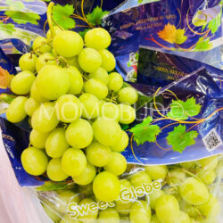 USA Top Brass Sweet Globe Green Seedless Grapes 1