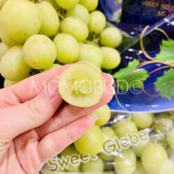USA Top Brass Sweet Globe Green Seedless Grapes cross section