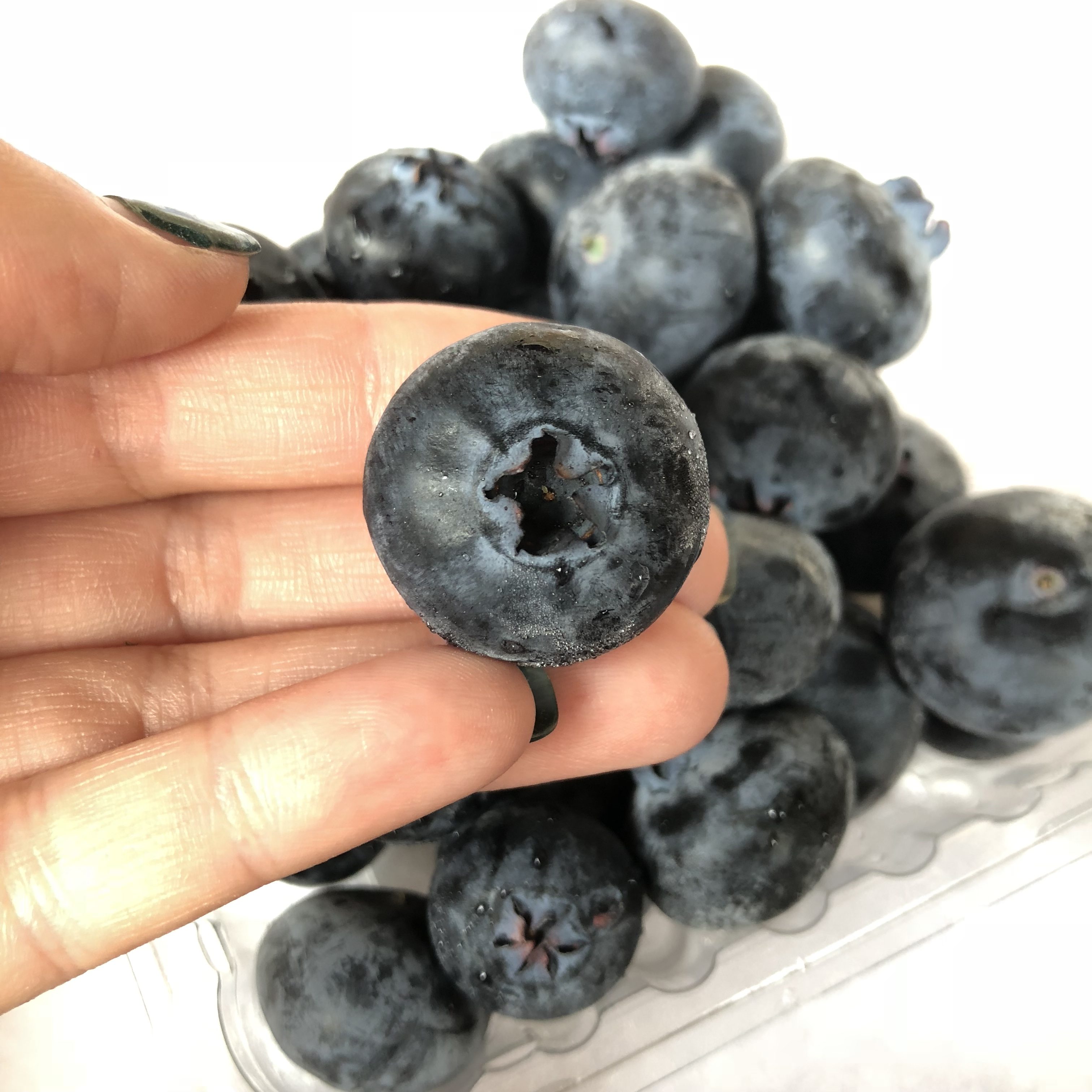 Heartmade Jumbo Blue Blueberry — MomoBud