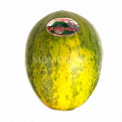 Japanese Papaya Melon