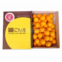 Kondai Kinkan Gift Box 1kg