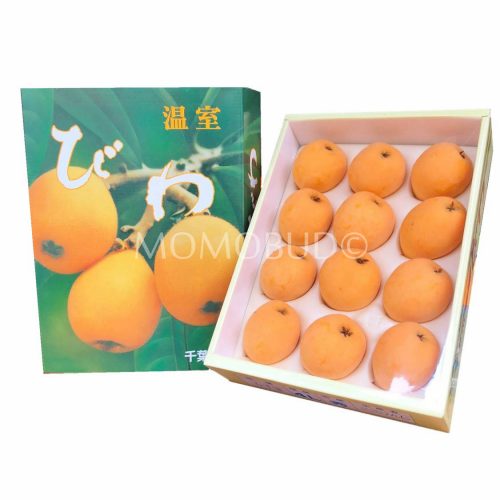 Japanese Mizuho Biwa Gift Box