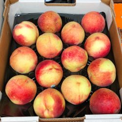 Snow Fall White Peach Box