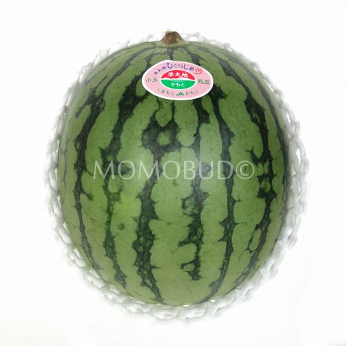Japanese Yumedaiti Hitorijime Watermelon