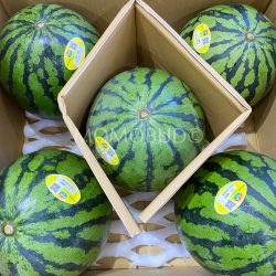 Japanese Yumedaiti Hitorijime Watermelon Box