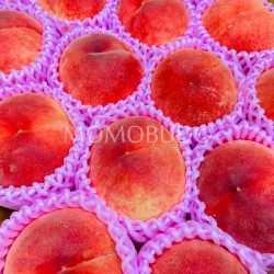Japanese Fuefuki Hakuhou White Peaches (Ittoushou grade) Japanese Fuefuki Hakuhou White Peaches (Ittoushou grade)