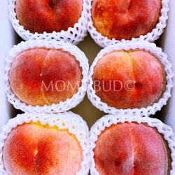 Japanese Ichinomiya Takumi no Momo Hakuhou White Peaches