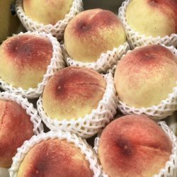 Yamanashi Hakuhou White Peach