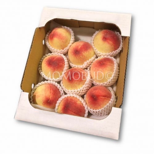 Yamanashi Hakuhou White Peach Box (3kg)