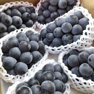 Yamanashi Kyoho Grapes