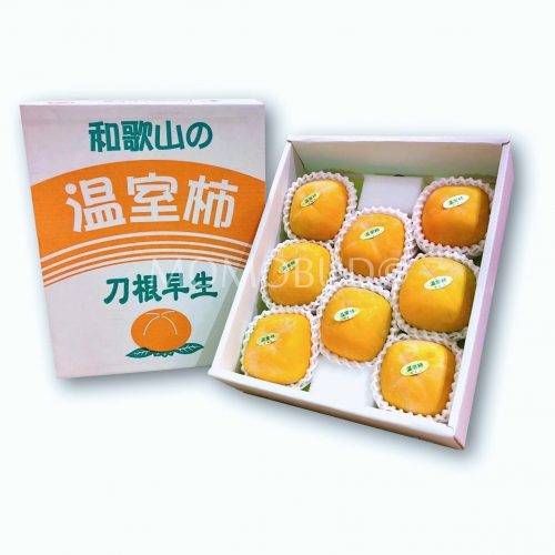 House Tonewase Gaki (Persimmon) Gift Box