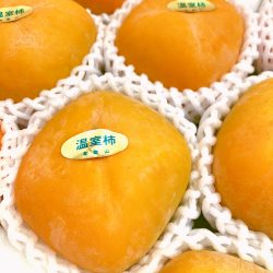 House Tonewase Gaki (Persimmon)